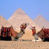 cairo36
